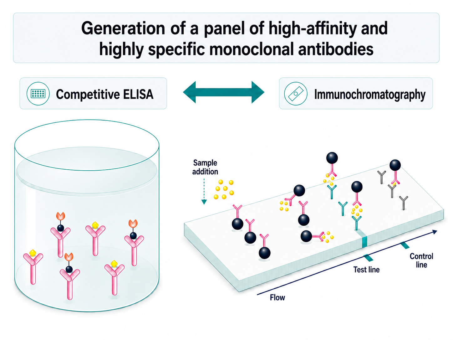 Competitive ELISA and lateral flow immunoassay formats